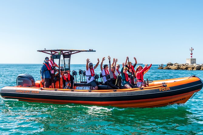 Cascais coast: Dolphin watching - English on board, small group energy, and who this trip suits