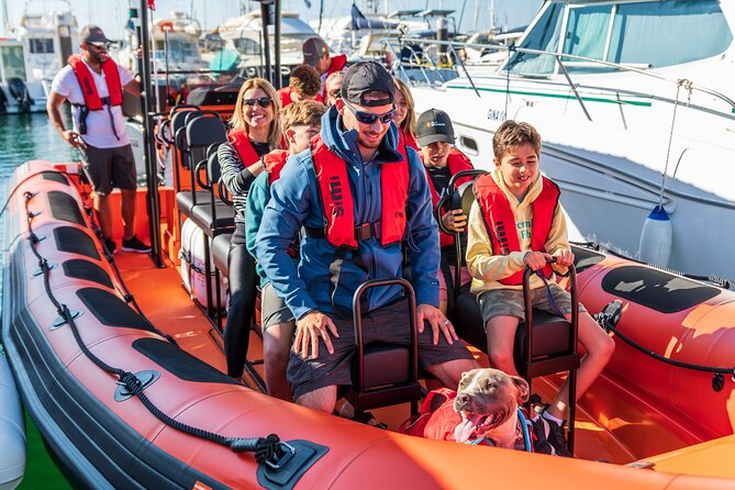 Cascais coast: Dolphin watching - Price and value: Is $78.02 a fair deal?