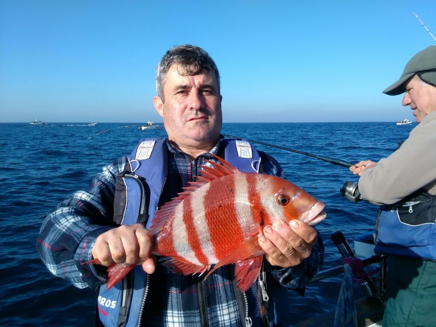 Cascais Deep-Sea Fishing Trip - Cascais Marina to the Atlantic: what your half-day really feels like