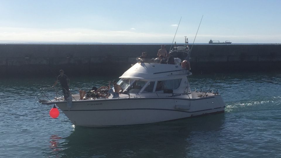 Cascais Deep-Sea Fishing Trip - Weather checks and route changes: why this matters for your odds