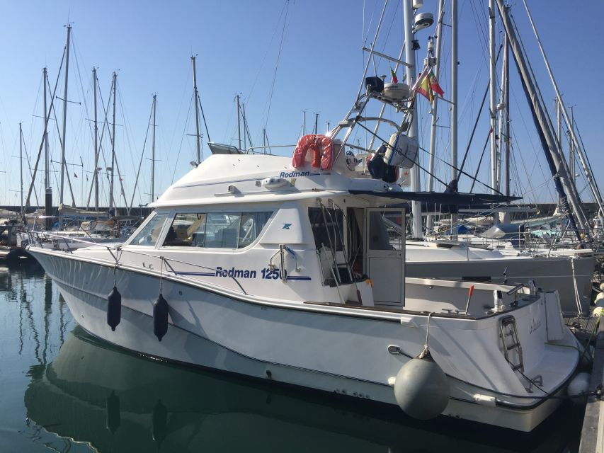 Cascais Deep-Sea Fishing Trip - Should you book this Cascais deep-sea fishing trip?