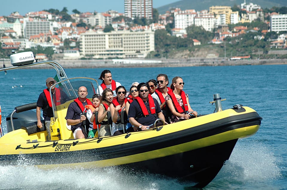 Cascais: Dolphin Watching Speedboat Tour - Should You Book This Dolphin Watching Speedboat Tour in Cascais?