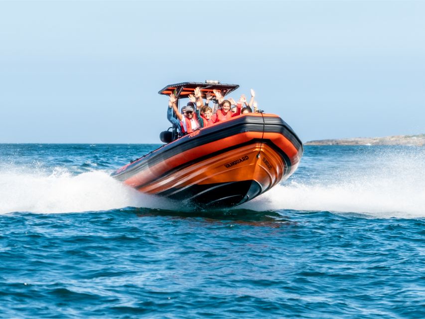 Cascais: Dolphin Watching Tour - Entering the Cascais Marina Scene (Shop 131 to Sea View)
