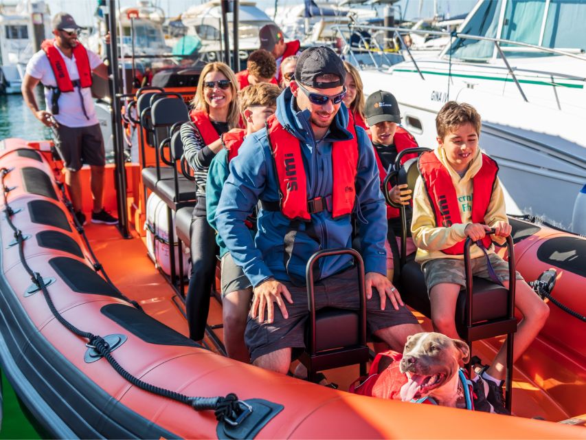 Cascais: Dolphin Watching Tour - What’s Included: Jackets, Life Vest, and a Guide Who Keeps It Clear