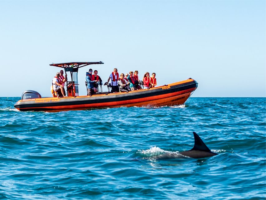Cascais: Dolphin Watching Tour - How the Rules Keep the Boat Ride Better (and the Wildlife Safer)