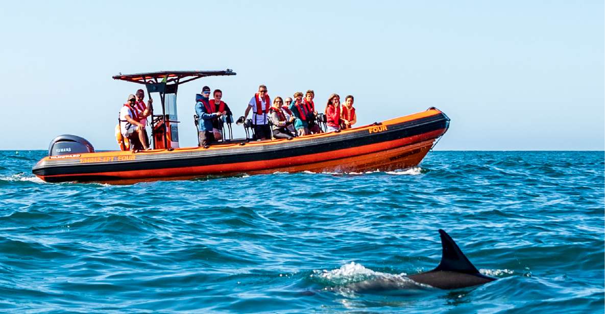 Cascais: Dolphin Watching Tour - Who This Dolphin Watching Tour Is Best For