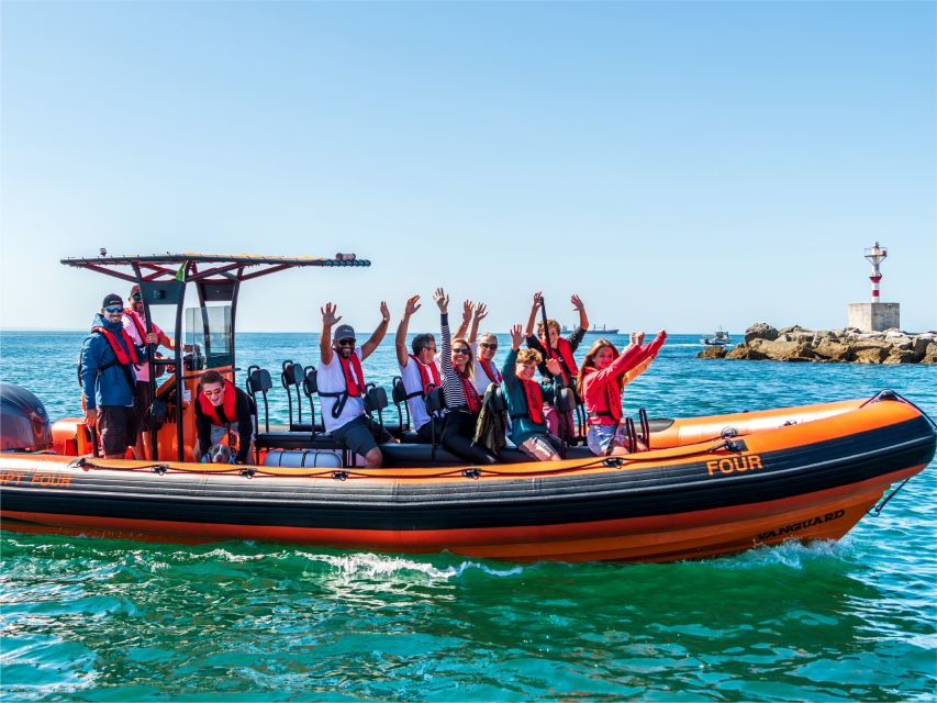 Cascais: Dolphin Watching Tour - Price and Value: Is $74 Worth 2 Hours at Sea?