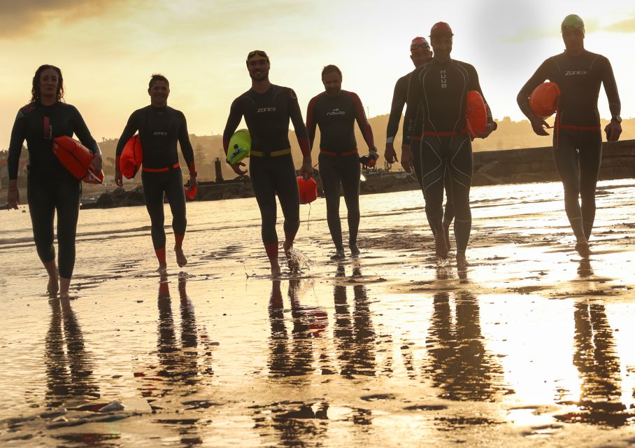 Cascais: Open Water Swimming - Safety and marine life: what you should realistically expect in the ocean