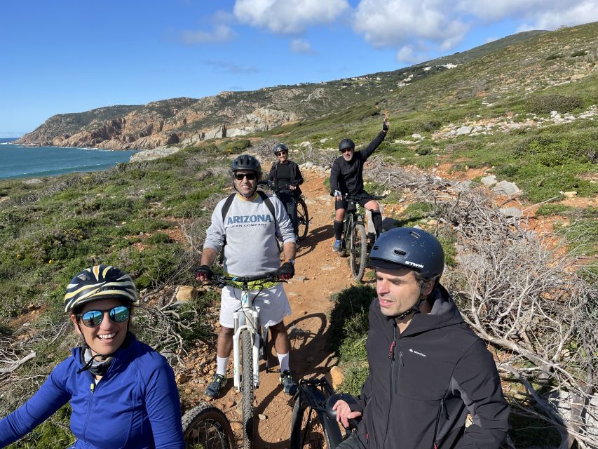 Cascais-Sintra E-bike Tour: Coast & Countryside Adventure - Climbing into Sintra’s hills: forests, Peninha views, and real fun