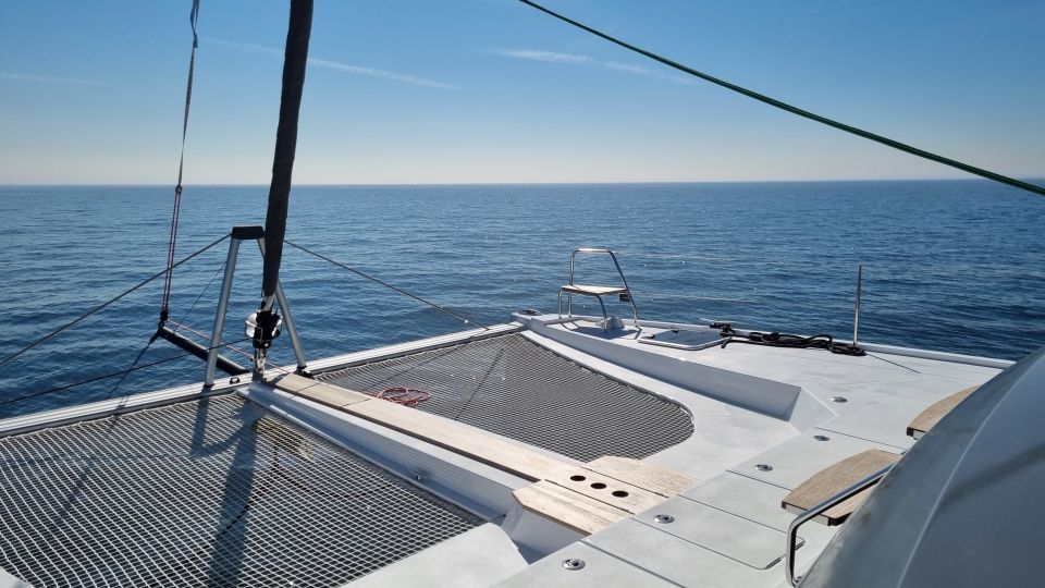 Cascais:Luxury Private Sailing Catamaran Cruise with a Drink - Wildlife, wind, and that happy “we got lucky” feeling