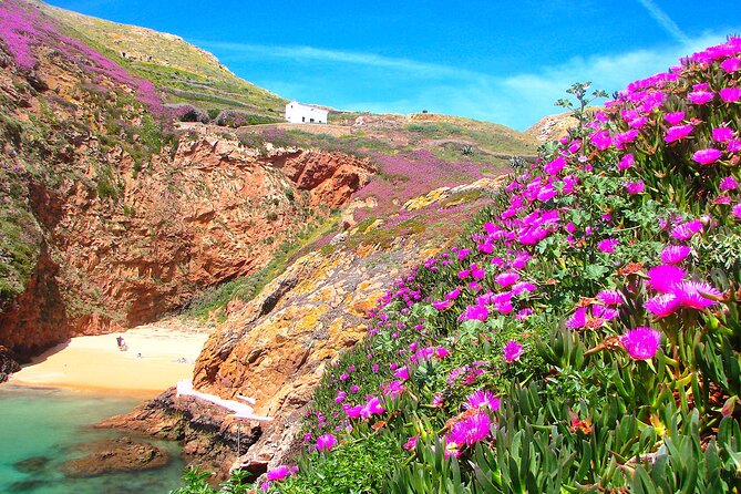 Catamaran trip to Berlengas Island + visit to the caves - Price and Value: Is This $60.21 Worth It?