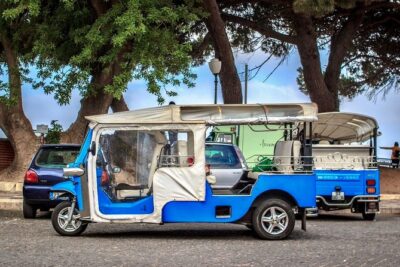 City of Neighborhoods Tour 1H 30M Private Tour by Tuk Tuk - Alfama’s narrow lanes: the steep-hill neighborhood vibe