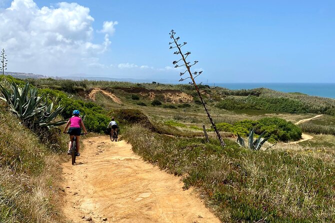 Cliff Top Ride - Key things that shape the ride (before you pedal)