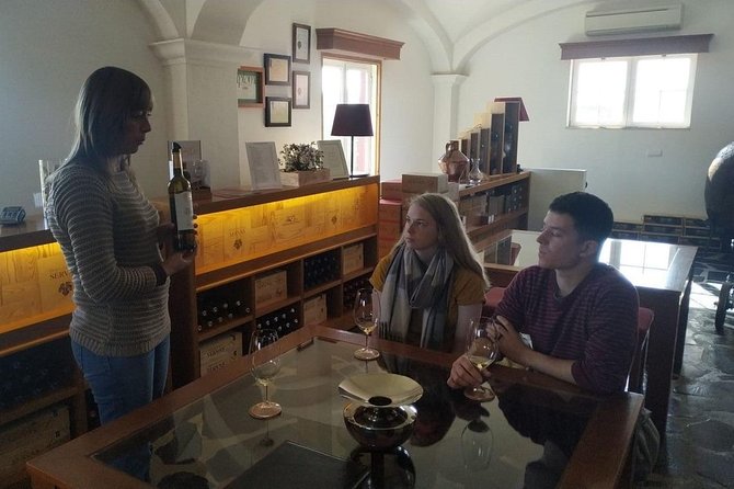 Coimbra Private Tour - Key things to know before you go