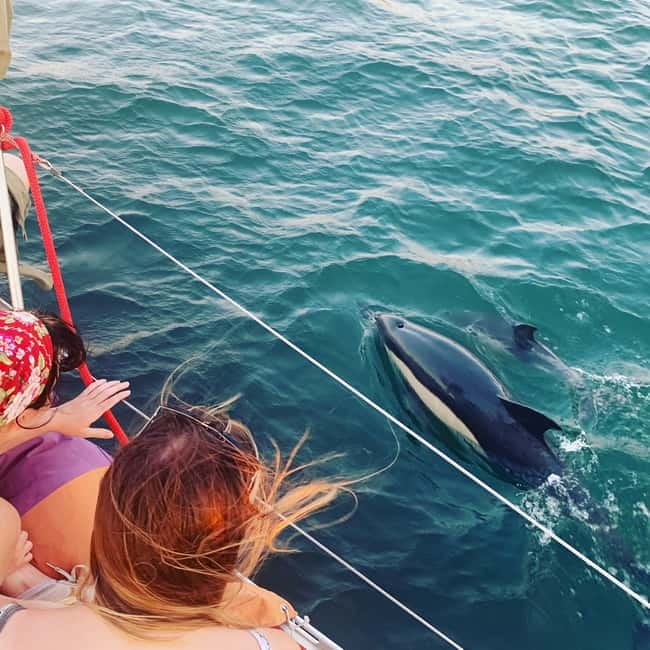 Cultural Sailing Tour in Lisbon - Key highlights worth planning for