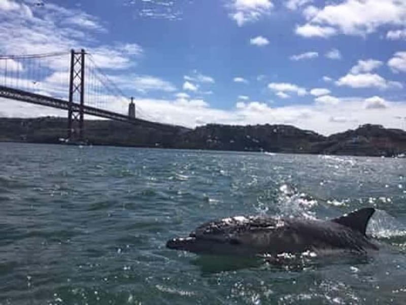 Cultural Sailing Tour in Lisbon - How to prepare so the sail stays easy and comfortable