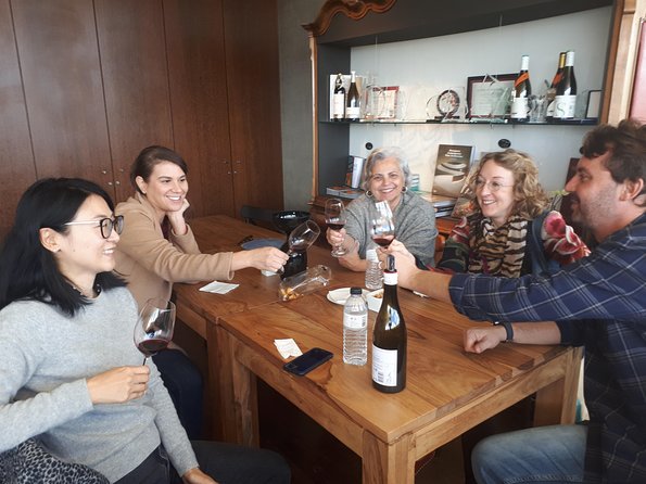 Day trip Lisbon Wine Tasting - Private tour - Manzwine in Cheleiros: Jampal, Bread and Olive Oil, and a School-turned Barrel Room
