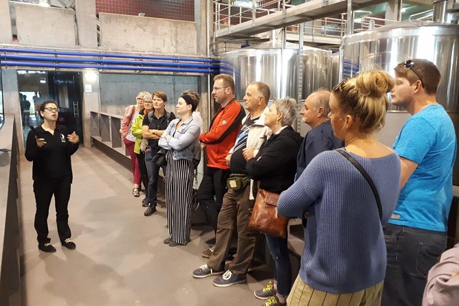 Day trip Lisbon Wine Tasting - Private tour - How the Tastings Are Structured (and Why That’s Good for Your Palate)
