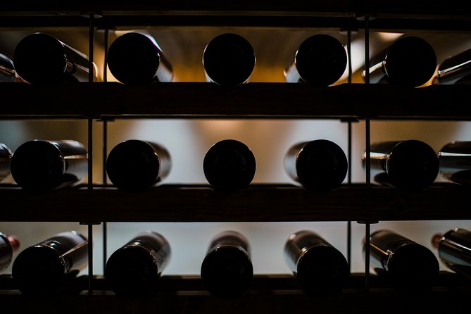 Day trip Lisbon Wine Tasting - Private tour - Adega Mãe: Vineyards First, Then the Temple Room Tasting