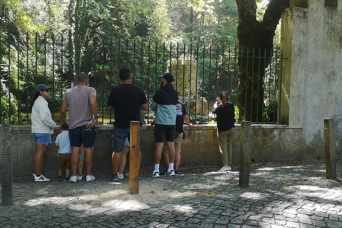 Daytrip from Lisbon to Sintra+Cascais-Large groups up to 10 pax - Choosing your two interiors: a simple decision guide
