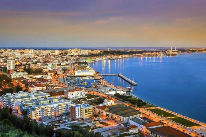 Descubra os Vinhos e a Gastronomia de Setúbal: Partindo de Lisboa - Catamaran dolphin spotting on the Sado River (and how to enjoy it)