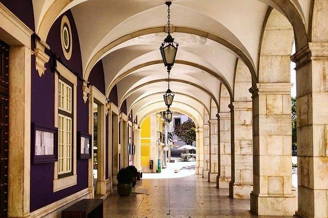 Descubra os Vinhos e a Gastronomia de Setúbal: Partindo de Lisboa - Two group tastings: wine and olive oil with a specialist