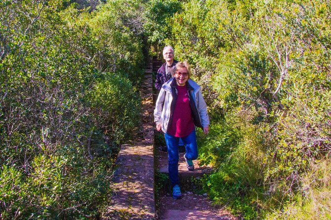 Discover Arrábida: The Secret Paradise - Arrábida in one day: what makes it special from Lisbon