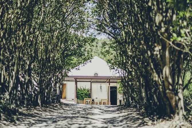 Discover Setúbal´s Secrets: Wine, Culture&Arrabida Magic| PRIVATE - The Church of the Former Monastery of Jesus: Manueline Architecture in Plain View