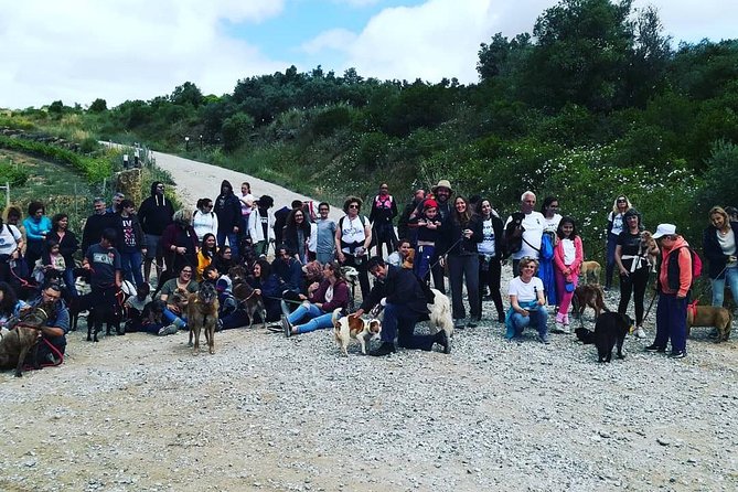 Discover Sintra's Hidden Trails: A Unique Hiking Experience - Price check: is $78.19 per person good value?