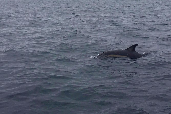 Dolphin Route - The route back toward Areia Branca beach