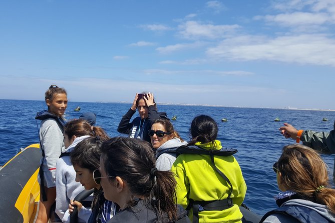 Dolphin Route - How fast (and how smooth) a 30 mph boat affects your comfort