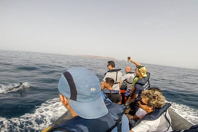 Dolphin Route - Getting there: the meeting point that keeps things easy