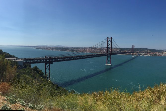 Dolphin Watching in the Wild - Half Day - Vista Point Photos and a Vineyard Wine Stop