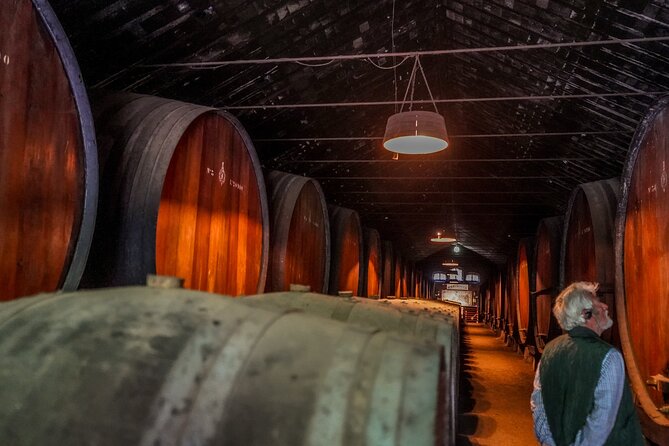 Douro Valley Private Day Trip from Lisbon: Vineyards & River View - Price and Value: What Your Money Actually Covers