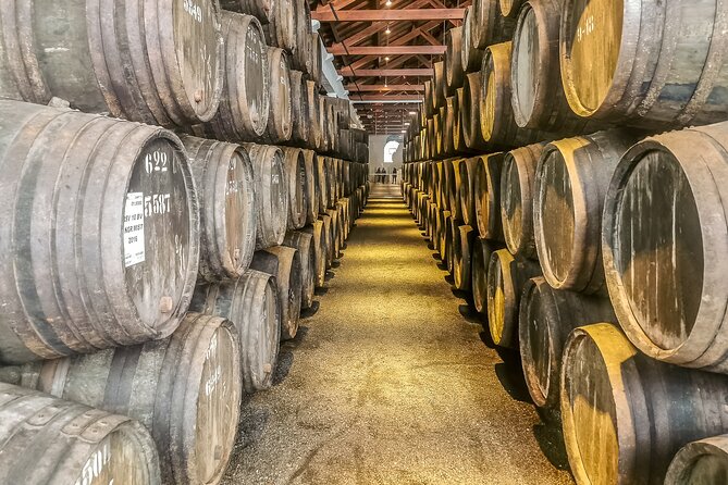 Douro Valley Private Day Trip from Lisbon: Vineyards & River View - Who This Douro Private Tour Is Best For