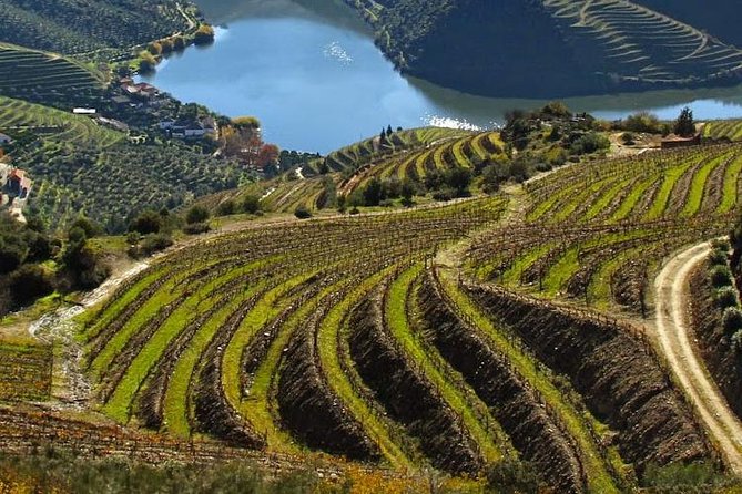 Douro Valley Private Wine Tour From Lisbon - Key highlights at a glance