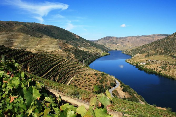 Douro Valley Private Wine Tour From Lisbon - From Lisbon to the Douro: the part you’ll feel in your bones