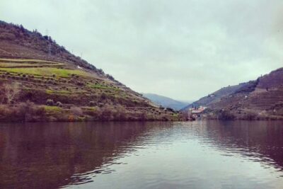 Douro Valley Private Wine Tour From Lisbon - The guided vineyard stops: how you learn without feeling trapped
