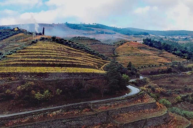 Douro Valley Private Wine Tour From Lisbon - The optional Douro River cruise: can it justify the add-on?