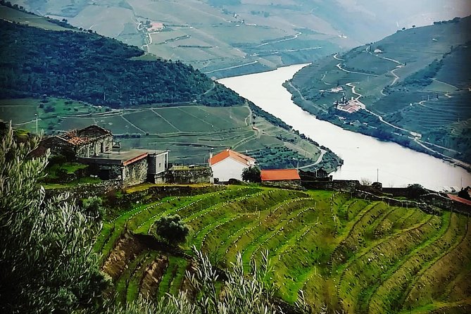 Douro Valley Private Wine Tour From Lisbon - Guides make or break a wine day