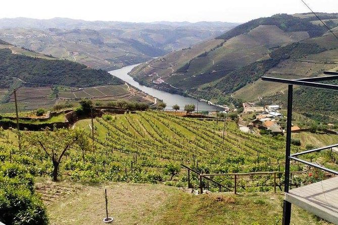 Douro Valley Private Wine Tour From Lisbon - Price and value: is $434 per person fair?