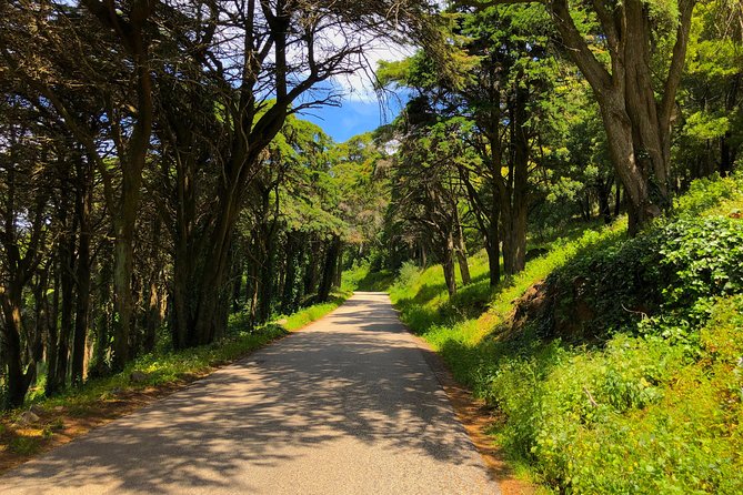 E-Bike Self-Guided Sintra - Cascais (Private Tour from Lisbon) - What You’re Getting: E-Bikes, Helmet, Water, and Train Tickets