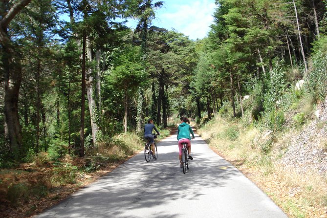 E-Bike Self-Guided Sintra - Cascais (Private Tour from Lisbon) - Guincho Beach: Ocean Views and a Break From Riding