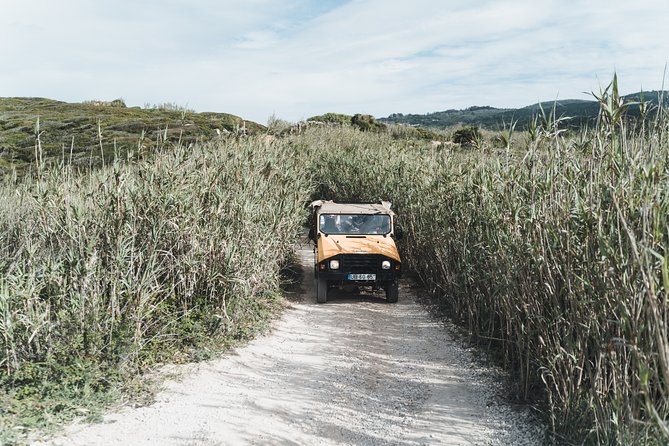 Epic Off-Road Adrenaline in Sintra - Off-road Sintra in a restored UMM 4x4: the point of the whole day