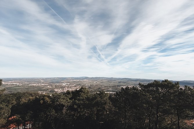 Epic Off-Road Adrenaline in Sintra - The Polaroid ending: a souvenir that doesn’t feel cheesy
