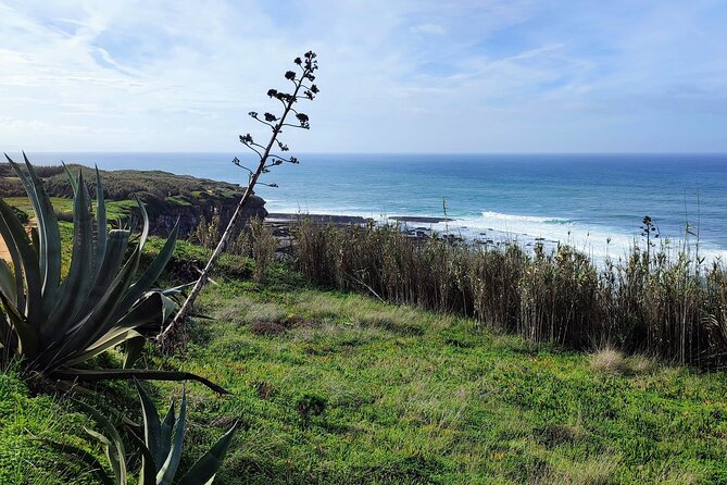Ericeira Private Tour: 10 Tastings Food Tour - Praia dos Pescadores: meet the fishermen and feel lunch coming