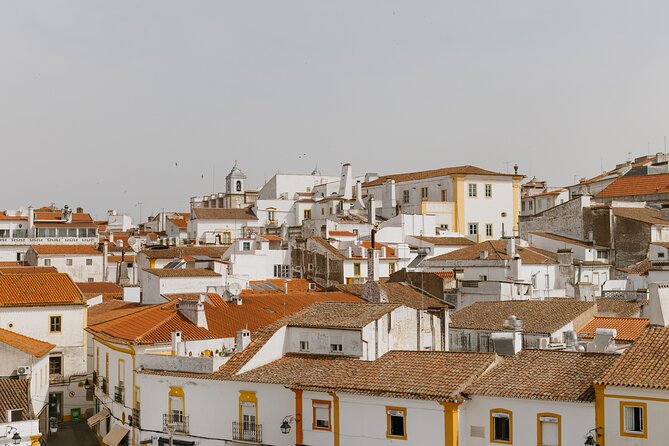 Évora, medieval village Monsaraz & Wine Tasting - From Lisbon to Alentejo: what this small-group day really feels like
