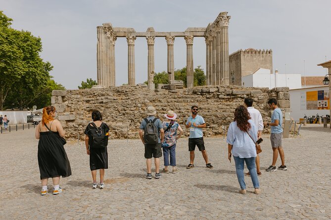 Évora, medieval village Monsaraz & Wine Tasting - Who should book this Évora and Monsaraz day trip from Lisbon?