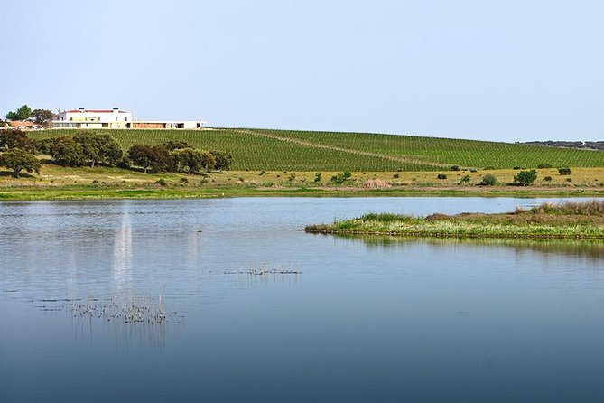Evora Private Personalized Experience from Lisbon - What to Pack for a Smooth Day in Old Évora