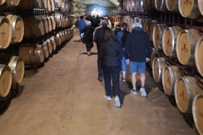 Évora Private Tour - Cork Factory and Wine Estate Included - Cartuxa wine estate in Alentejo: history and an included tasting